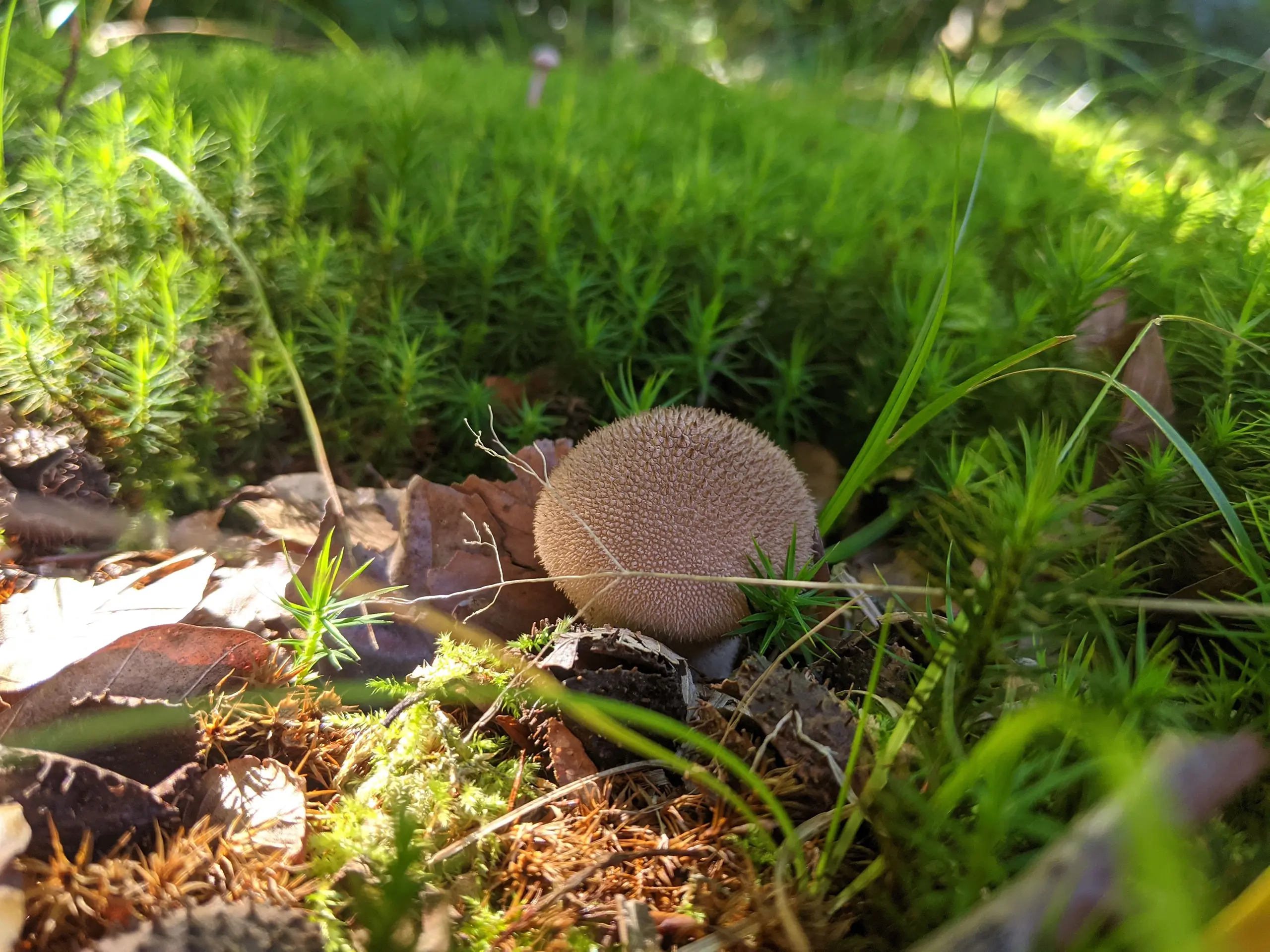 PXL_20210905_093401133