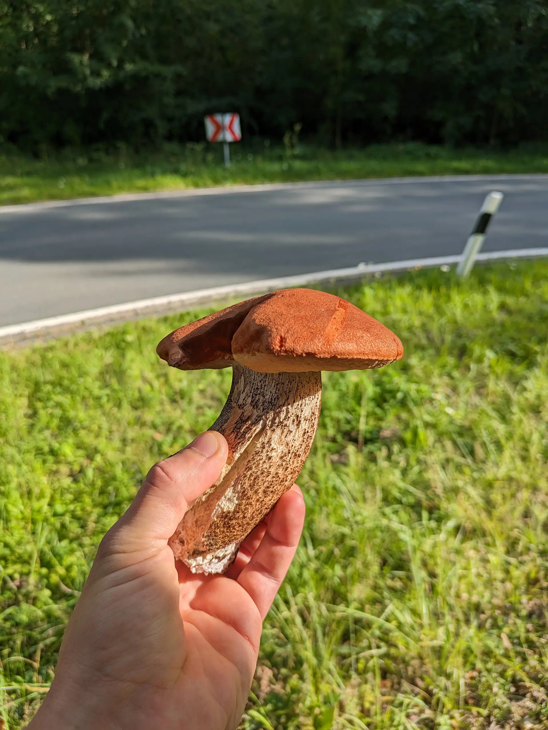 PXL_20230922_144033378
